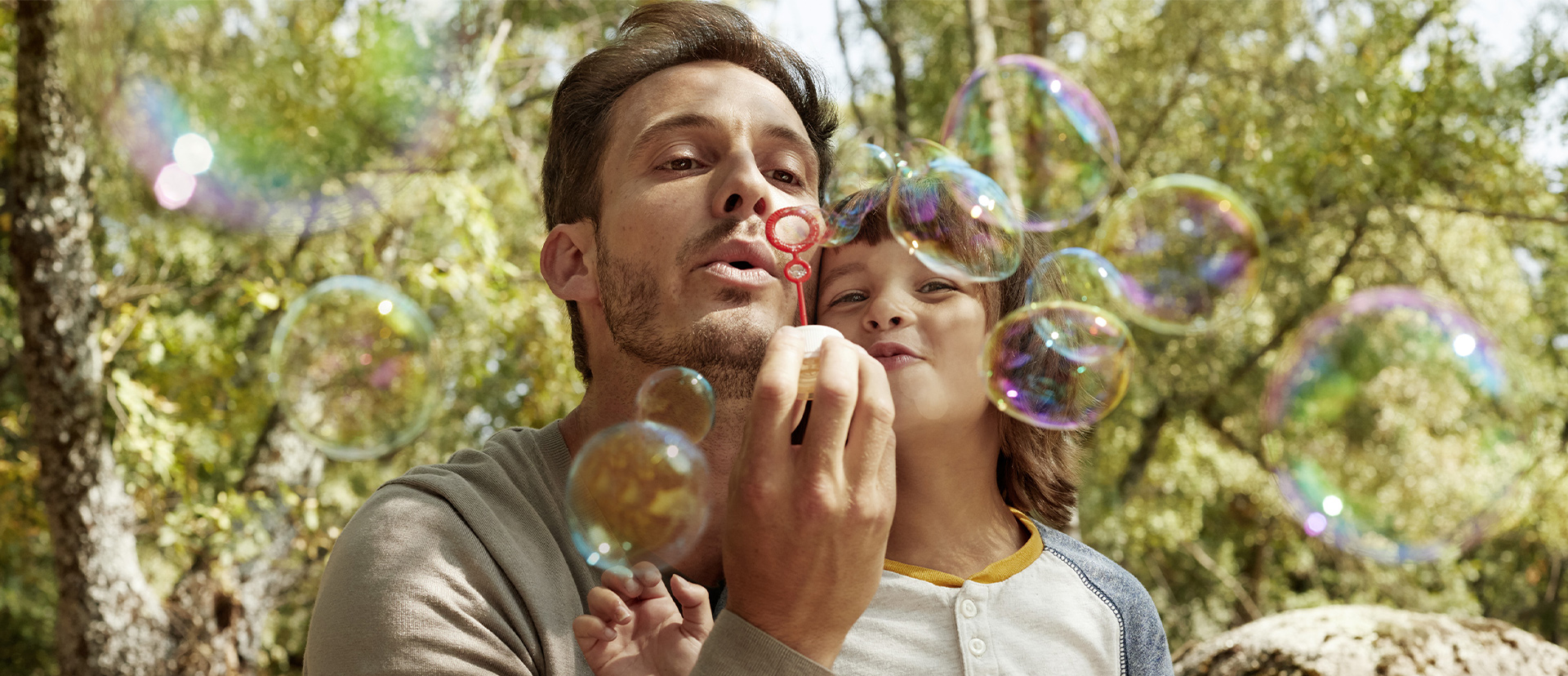 Manifesto module desktop