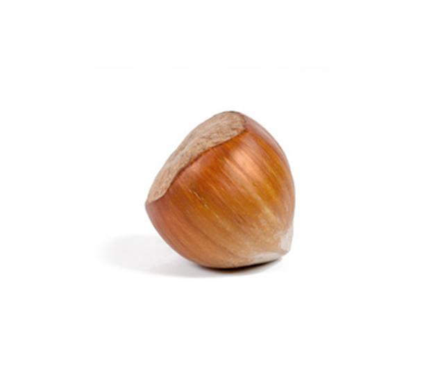 Hub - Hazelnuts hoover