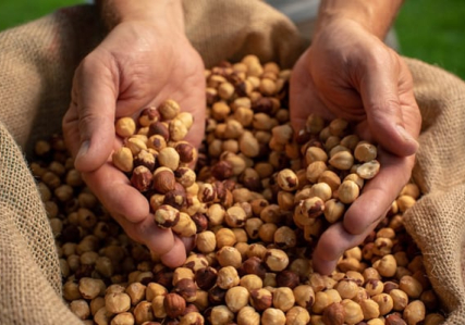 我们选择的原材料